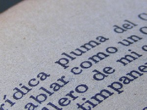 biblioteca 099 copy.jpg